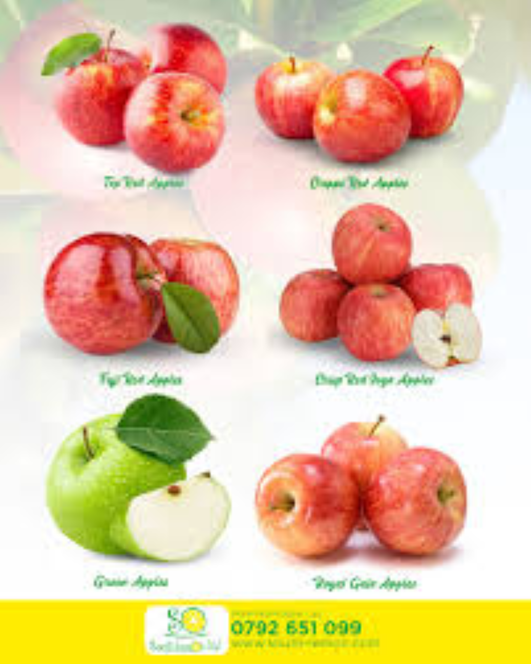 SOUTH LEMON TOP RED APPLE 6PK